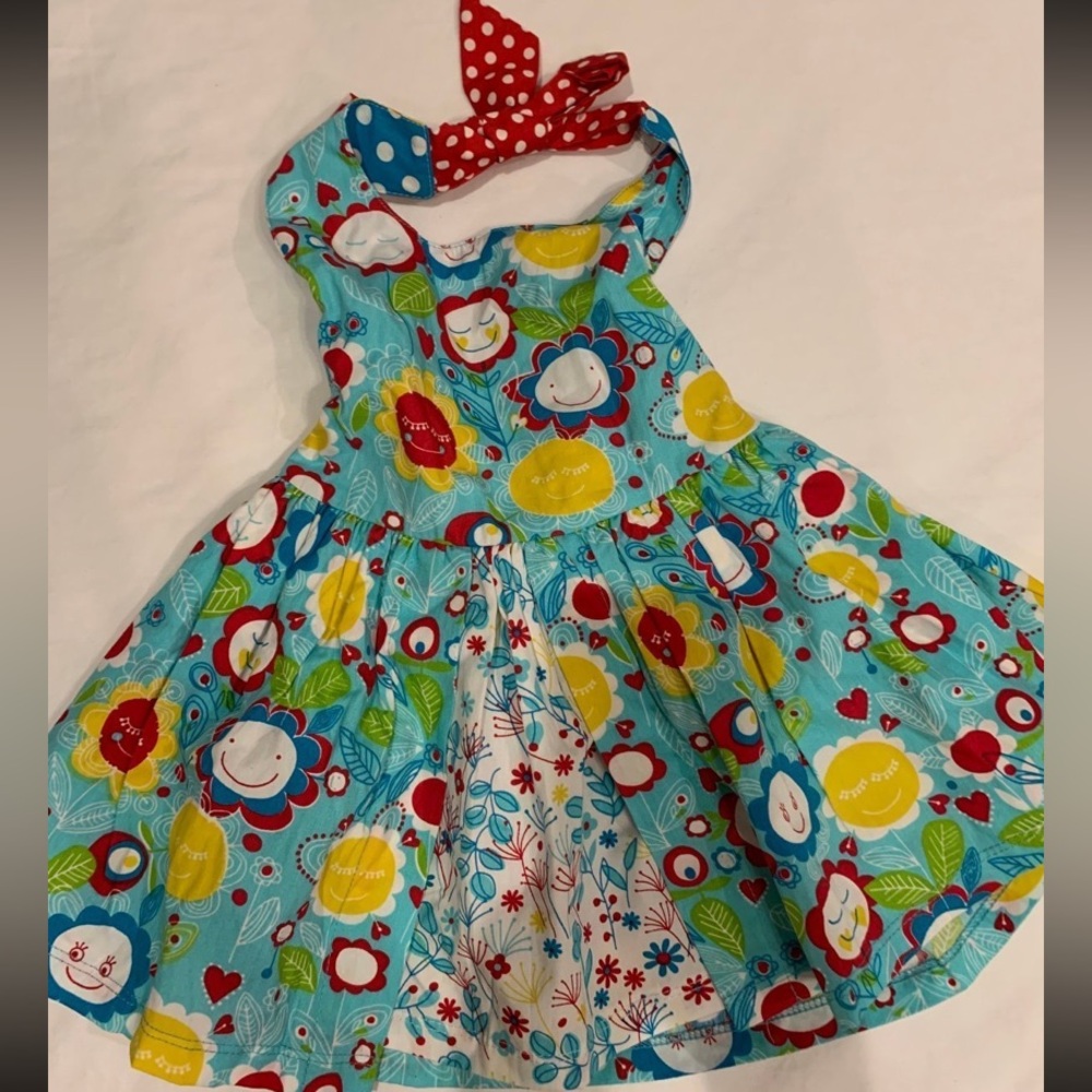 Jelly the Pug dress 4T